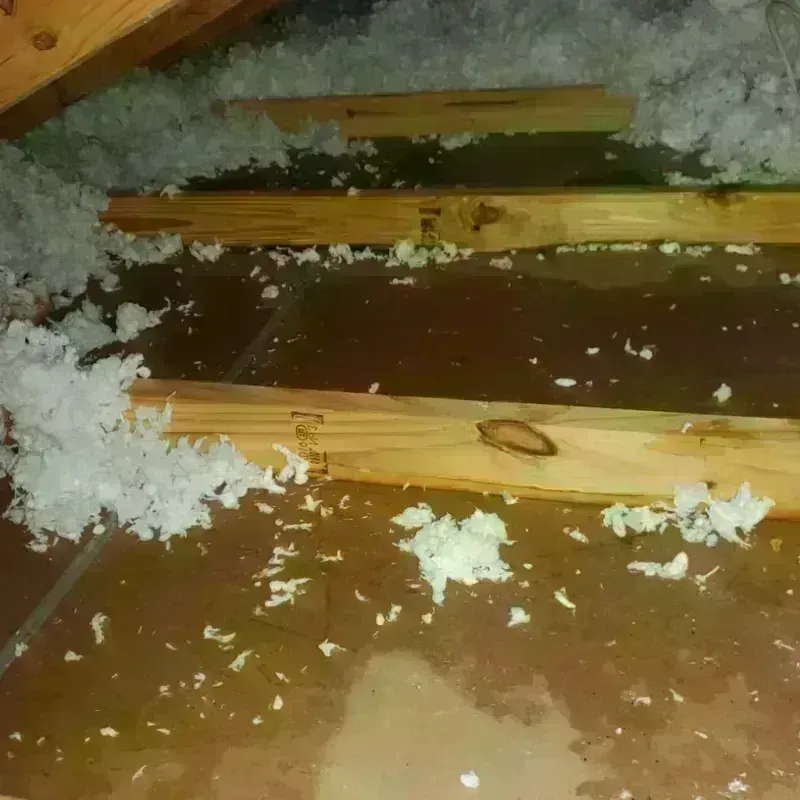 Attic Water Damage in Bradley County, AR